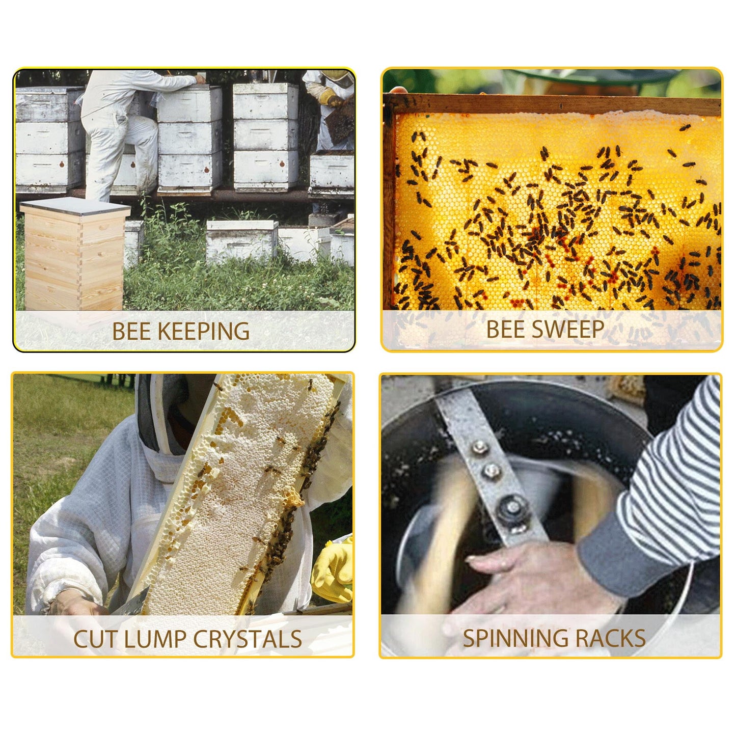 Premium Langstroth Bee Hive 8 Frame 2 Deep 2 Medium, All Frames & Foundations Included