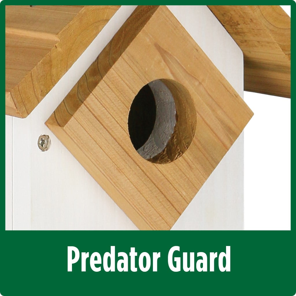 Wild Wings Farmhouse Cedar Bluebird House, White