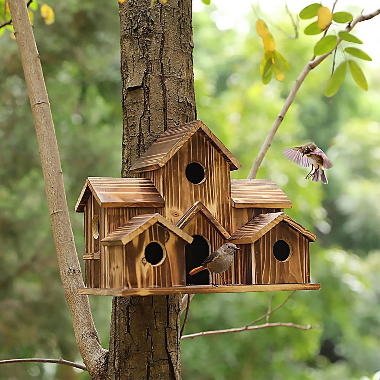 Squirrel Ring Wooden Hummingbird Birdhouse Rustic Outdoor Nesting For Birds