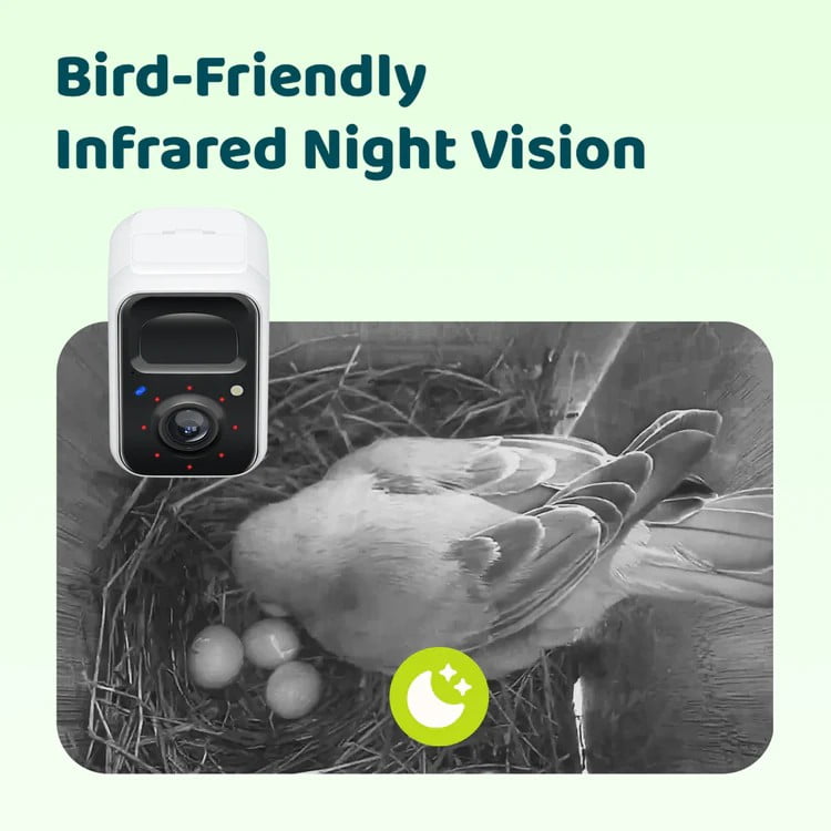 Birdfy Smart Bird Houses for Outside Solar Powered, 1080P HD Live View Bird House with Camera, Perfect Viewing Bird Nesting and Hatching, Bird Feeder with Camera for Most Birds