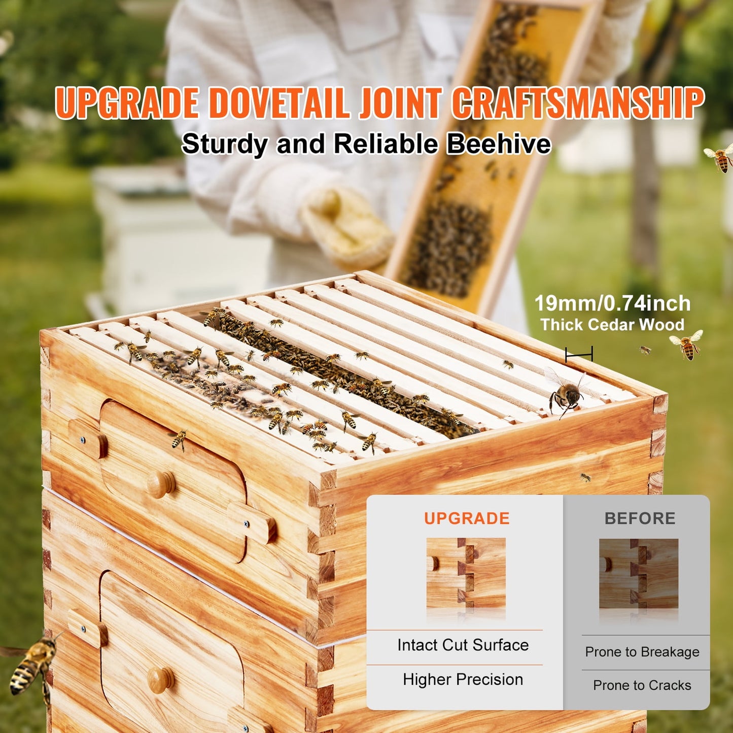 KFFKFF Bee Hive Langstroth Kit 10 Deep & 10 Medium Frames with Acrylic Windows