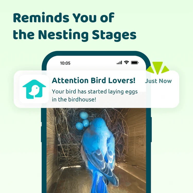 Birdfy Smart Bird Houses for Outside Solar Powered, 1080P HD Live View Bird House with Camera, Perfect Viewing Bird Nesting and Hatching, Bird Feeder with Camera for Most Birds