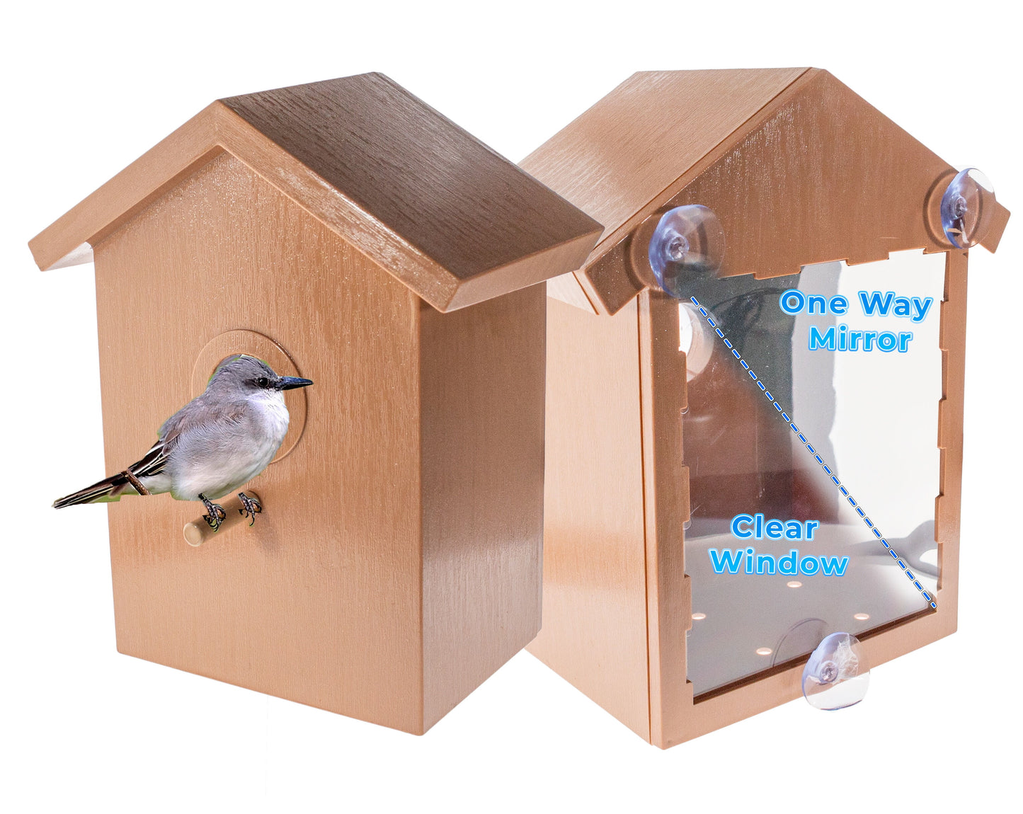 See Through Two Way Mirrored Bird House - Suction Cup Window Mounted, Weatherproof Design for Bluebirds & Sparrows