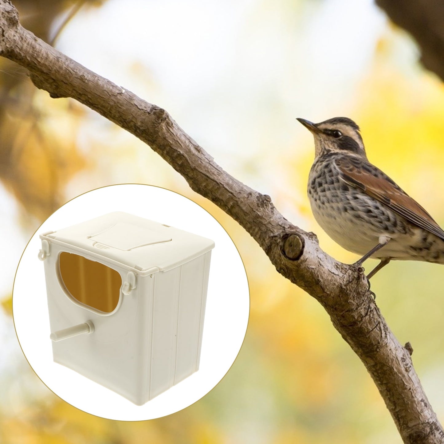 Raindrops Nesting Boxes for Birds Squirrel Hideaway Hut Breeding