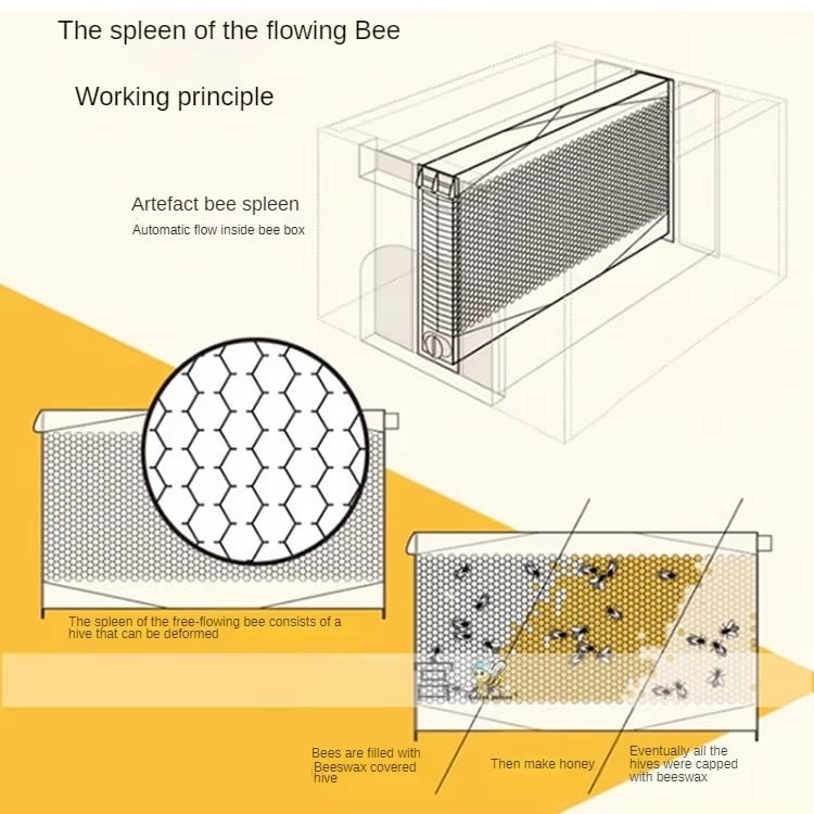 AUSHIVE Home of the Bees Decorative Cedarwood Bee Habitat Combo Pack with 7 Automatic Hive Frames, Wood Colour