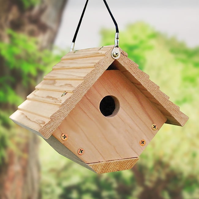 Audubon Wren House Building Kit