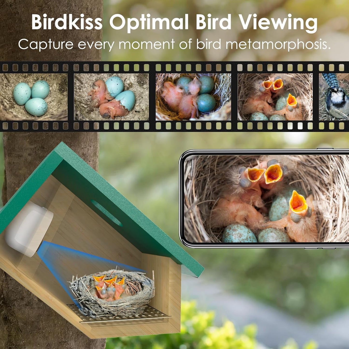 Birdkiss Smart Bird Houses for Outside Solar Powered, 1080P HD Live View Bird House with Camera, Perfect Viewing Bird Nesting and Hatching, Ideal Outdoors Bird House, Green