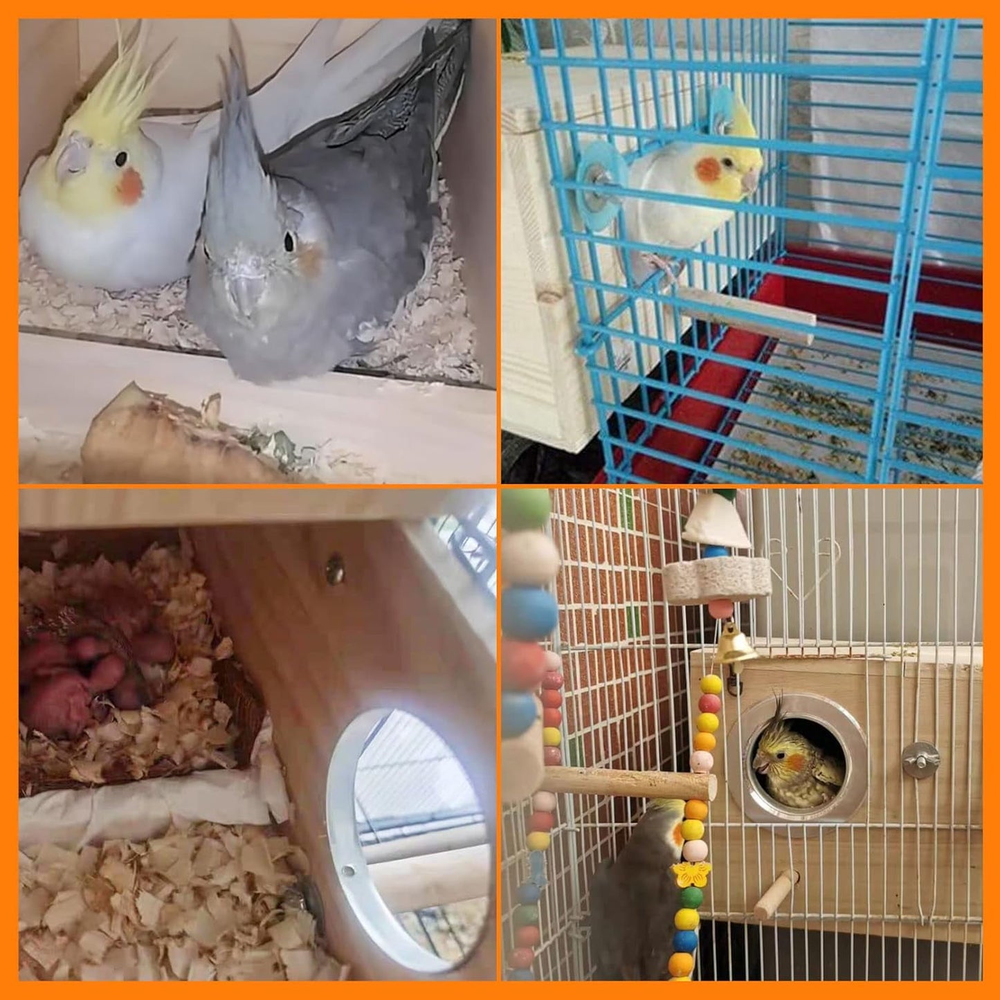 Parakeet Nest Box Budgie Nesting House Cockatiel Breeding Parrots Mating Box for Lovebirds Large and Medium-Sized Birds (XL)