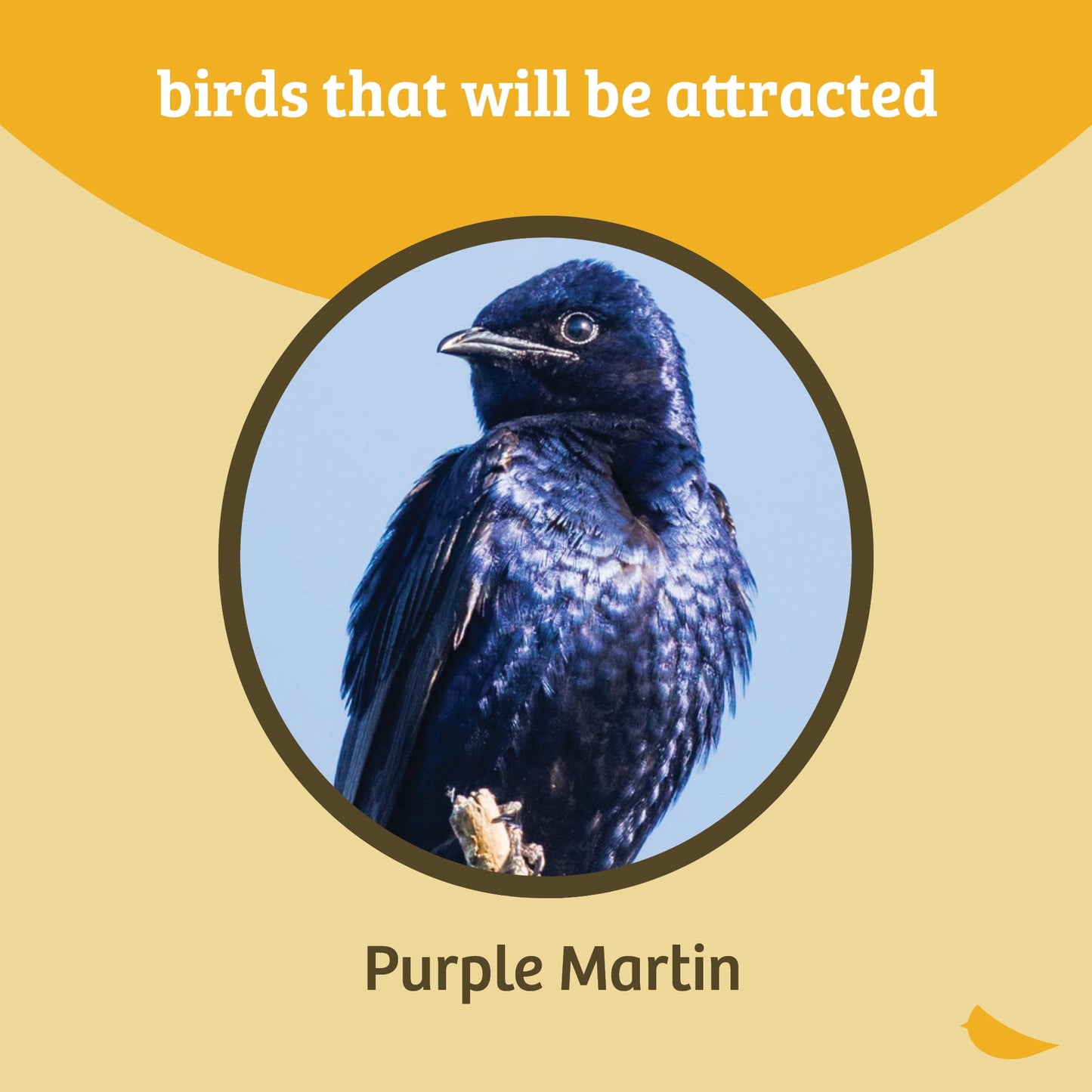Birds Choice Medium 3-Level, 12-Room Purple Martin Bird House with Starling-Resistant Entrances, White/Grey