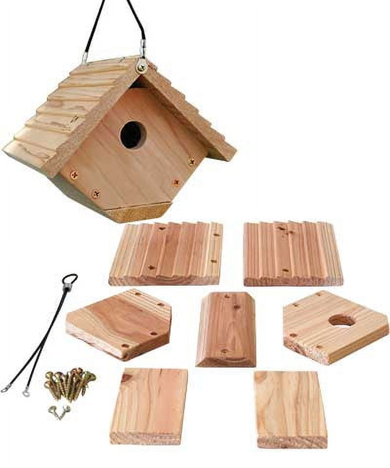 Audubon Wren House Building Kit
