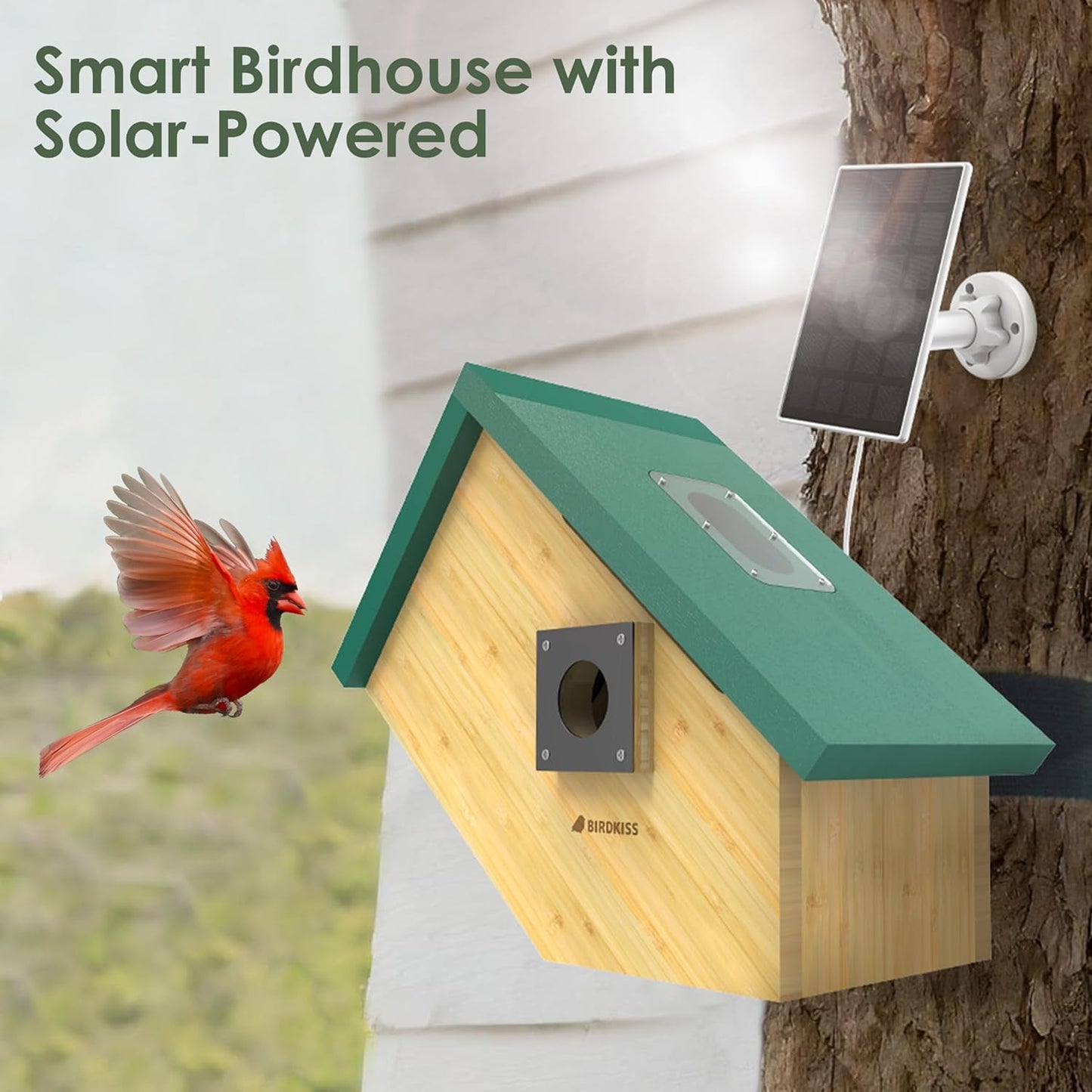 Birdkiss Smart Bird Houses for Outside Solar Powered, 1080P HD Live View Bird House with Camera, Perfect Viewing Bird Nesting and Hatching, Ideal Outdoors Bird House, Green