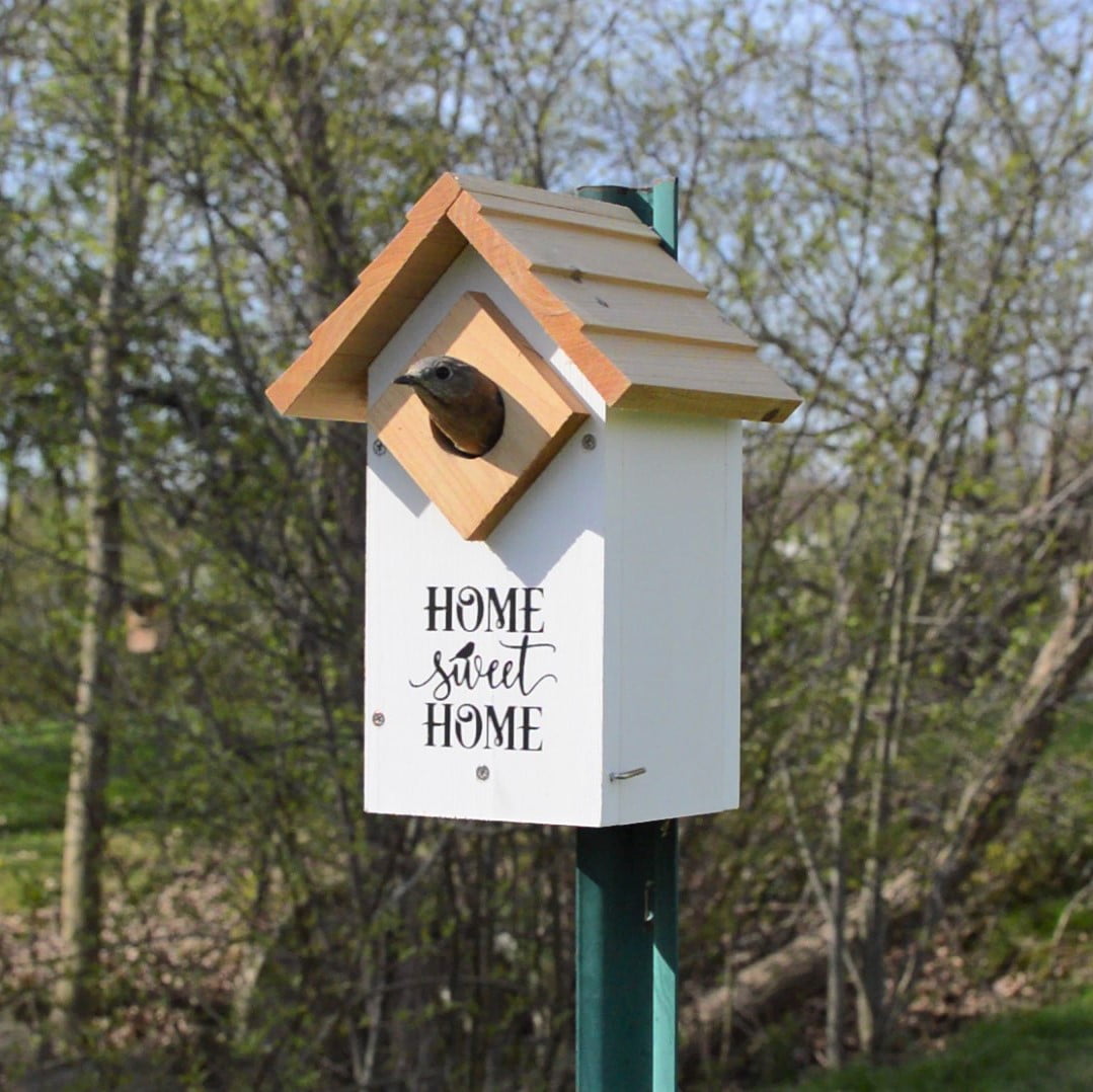 Wild Wings Farmhouse Cedar Bluebird House, White