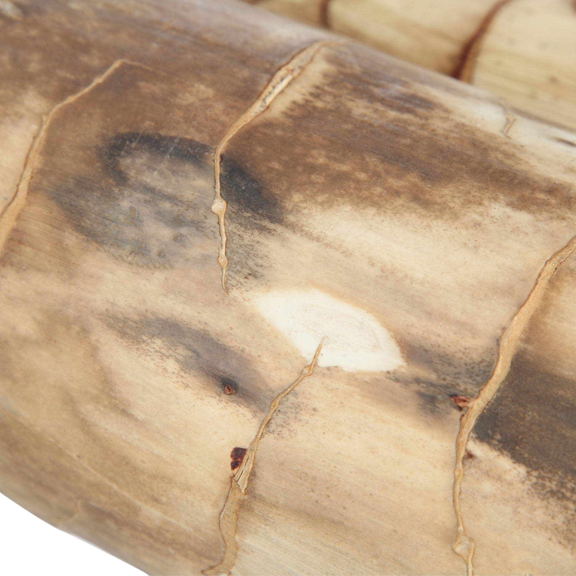 Natural Mexican Bamboo Bird Nest (2 Pieces)