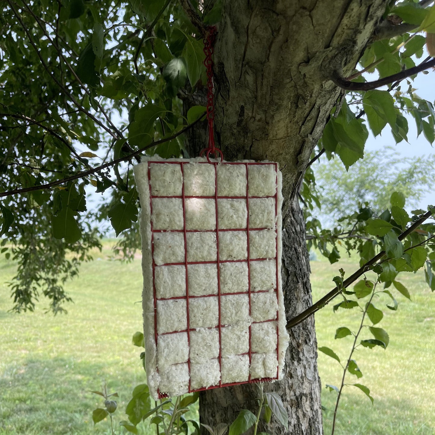 Songbird Essentials Bird House Bird Nesting Material Holder, Hummer Helper with Cotton Nesting Materials