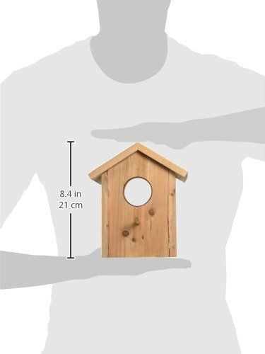2 See Through One Way Mirrored Bird House - Suction Cup Window Mounted Bird Nesting Box