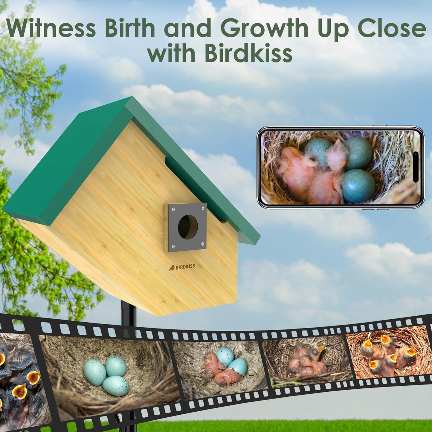Birdkiss Smart Bird Houses for Outside Solar Powered, 1080P HD Live View Bird House with Camera, Perfect Viewing Bird Nesting and Hatching, Ideal Outdoors Bird House, Green