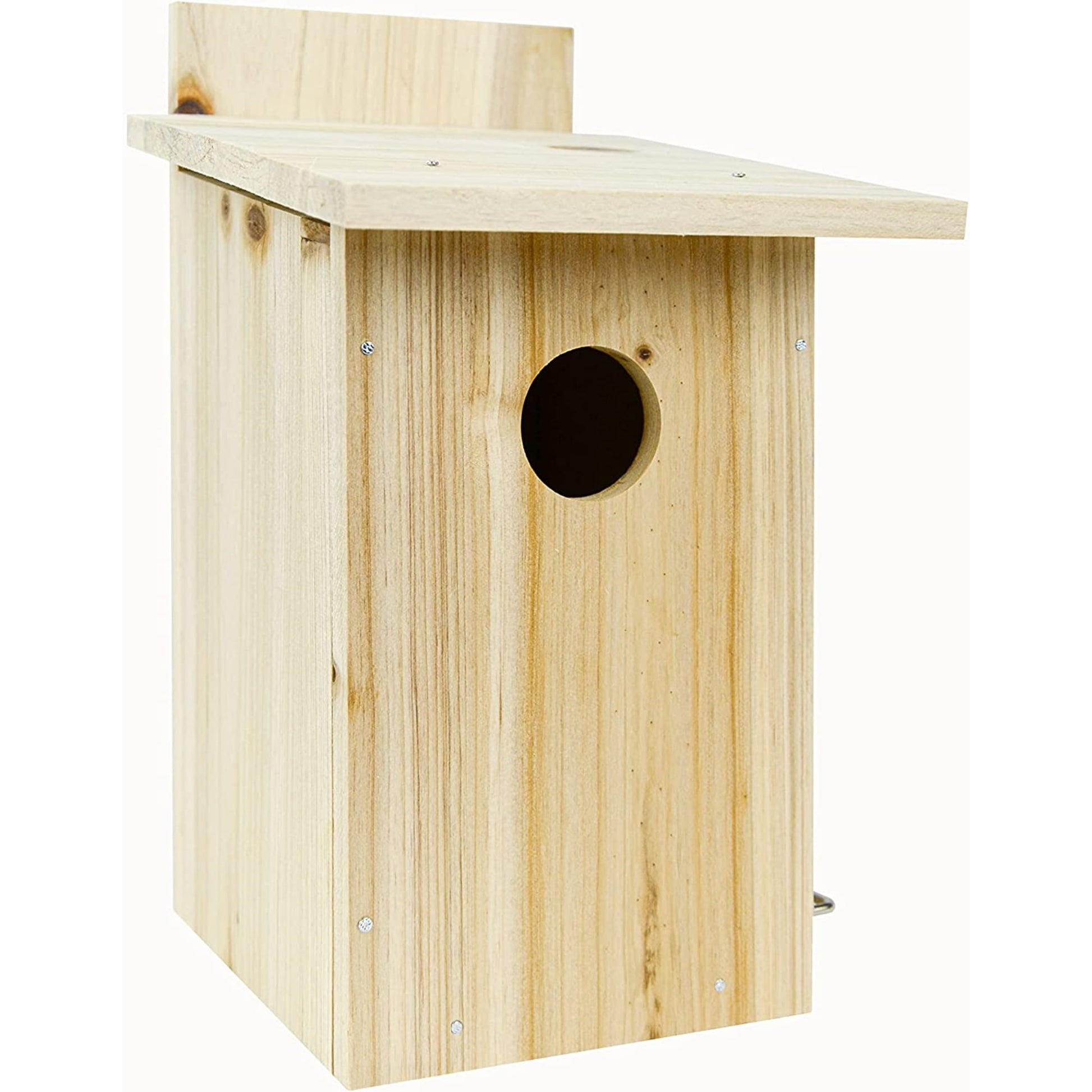 Nature's Way My First DIY Bird House To Paint, Assemble, and Decorate Wood Craft, 10"
