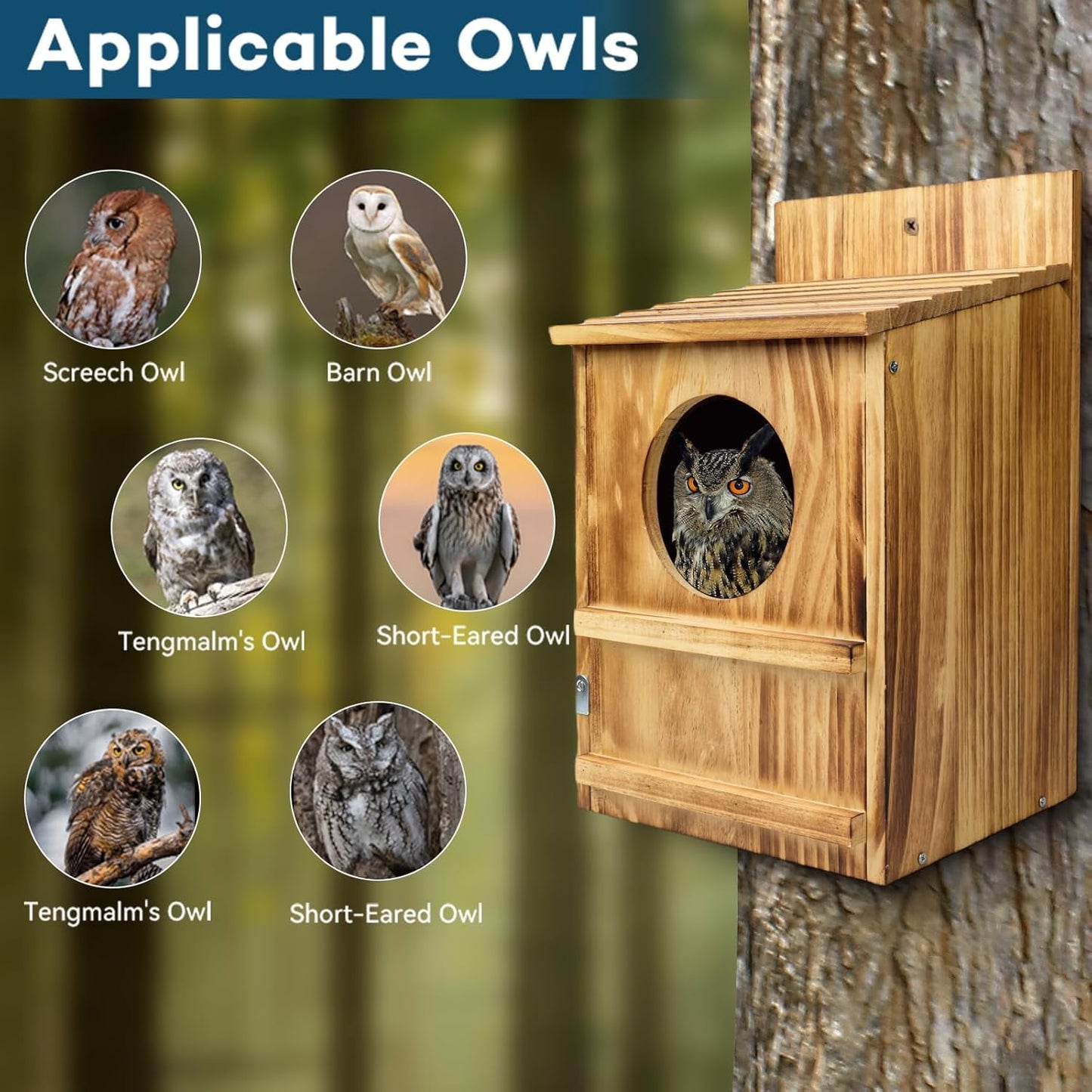 Handmade Wooden Owl House for Outdoors, Carbonized Nesting Box for Screech & Barn Owls with Water & Bait Bowl, Nesting Shavings Included, Bird House, Easy Assembly, Boxes for Outside, 14.5"x9"x7.5"
