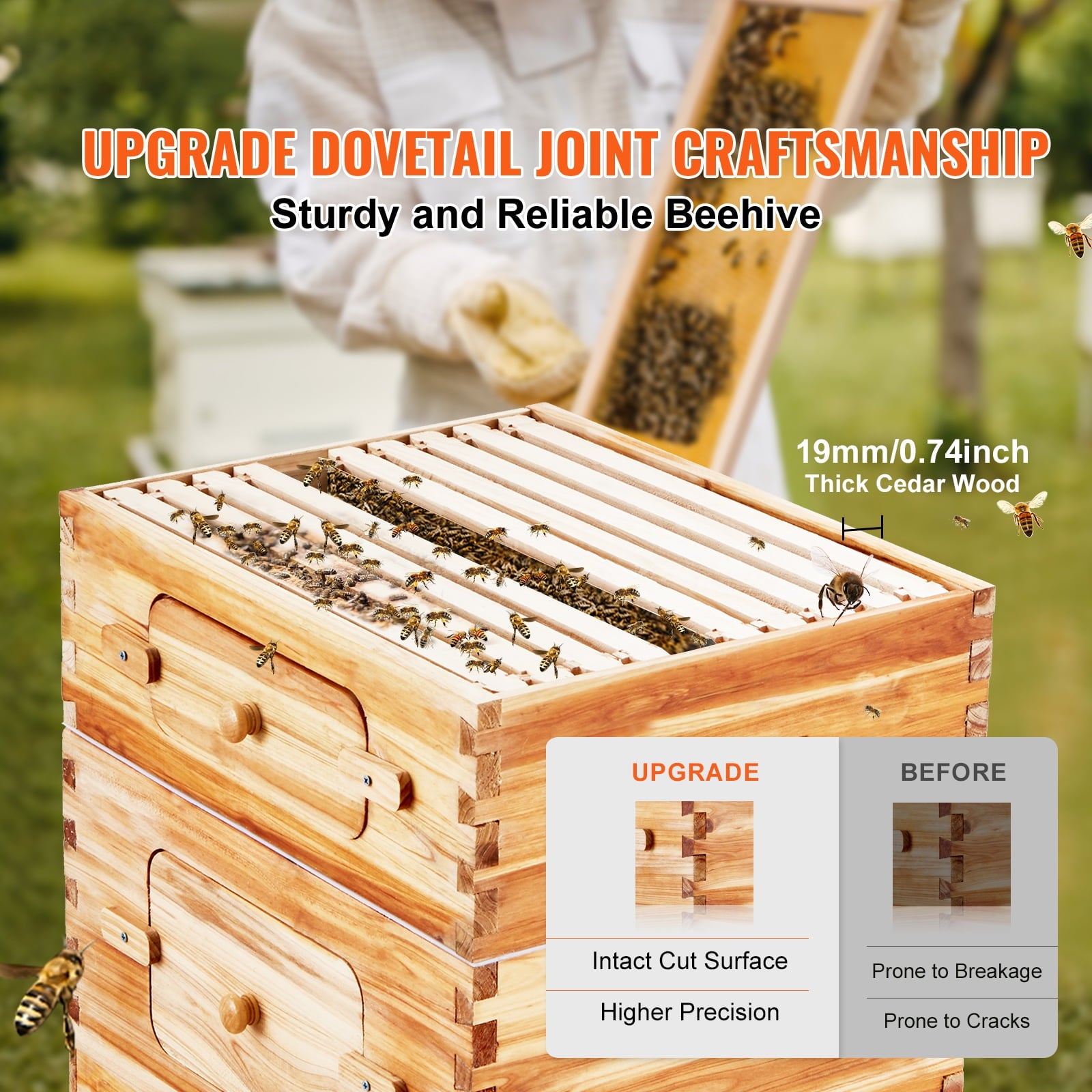 KFFKFF Bee Hive Langstroth Kit 10 Deep & 10 Medium Frames with Acrylic Windows