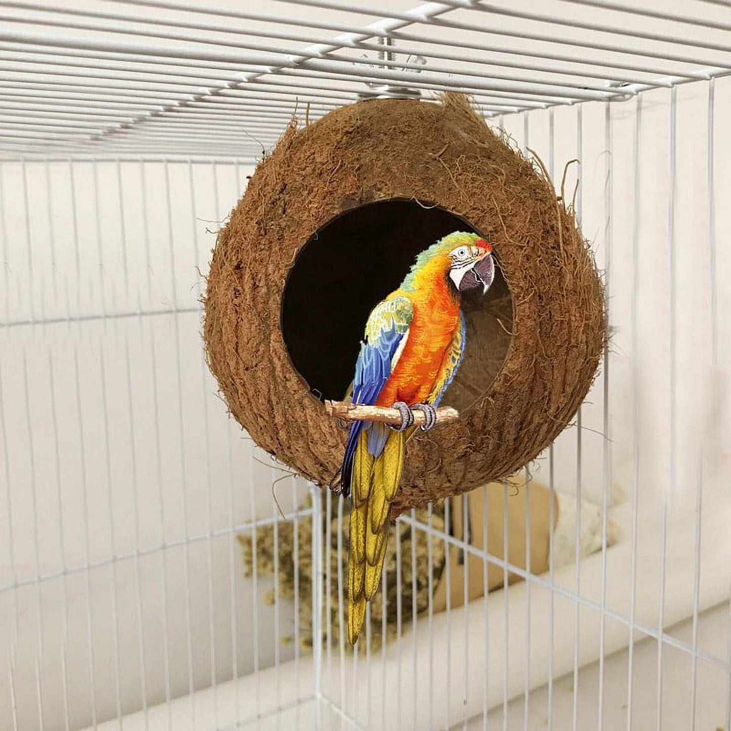 Pet Bird Coconut Shell Nest House Hut Cage Feeder Pet Parrot Parakeet Toys