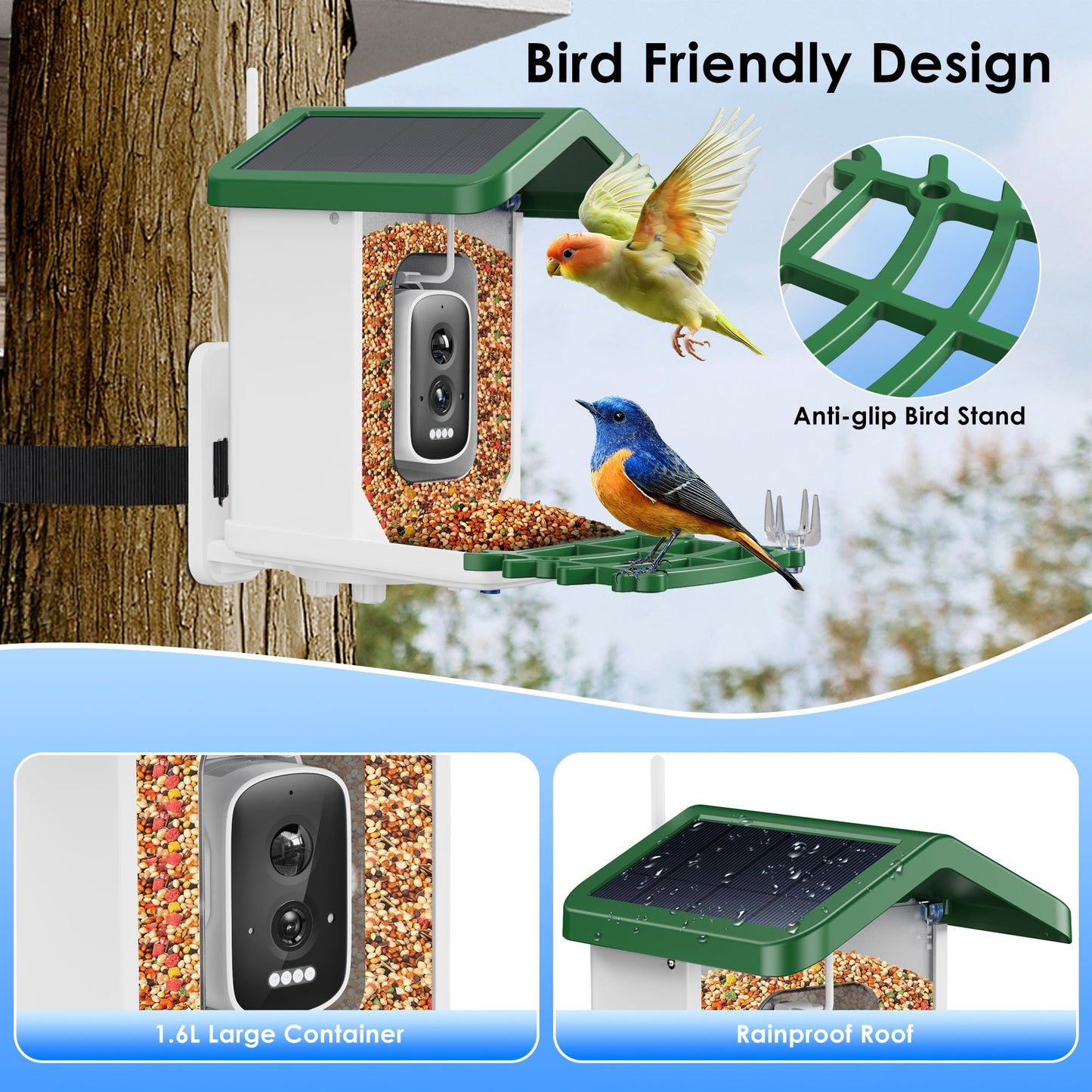 ImmSss Bird Feeder with Camera, AI Identify Bird Species,Solar Smart Hummingbird House with 2.5K HD Cam,Live View,Instant Arrival Alerts,Capture Bird Video,Squirrel-Proof,Ideal Gift for Bird Lover