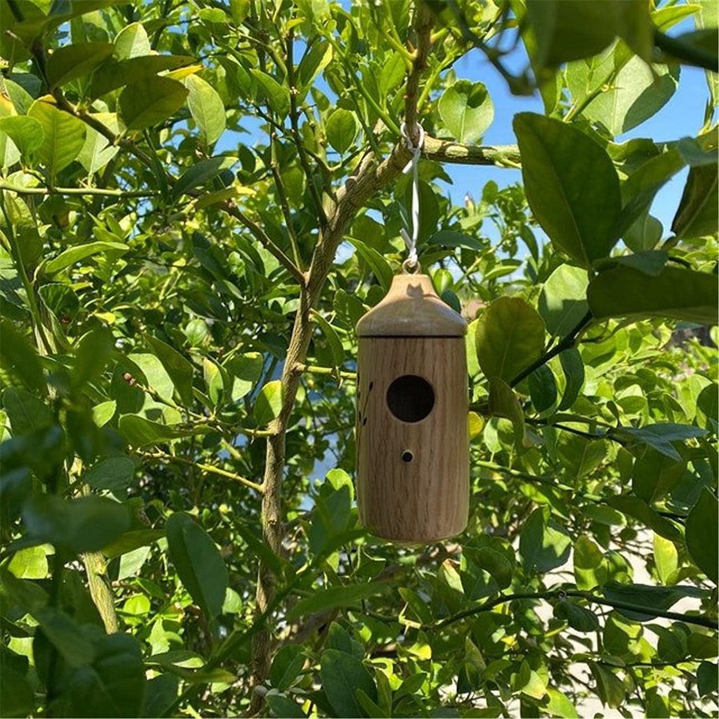 iMucci 3Pcs Natural Wood Hummingbird House 2022 New Hummingbird Houses for Outside Hanging Hummingbird Nest for Nesting