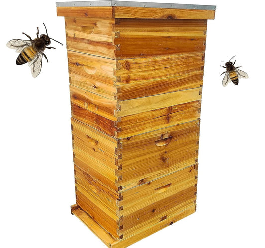 5 Layer Beehive, Bee Hive Dipped in 100% Beeswax, Include Queen Excluder & Foundation & Cover (2 Deep Hive Bee Box & 3 Super Bee Hive) Frameless