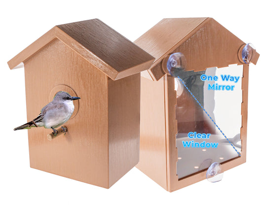 See Through Two Way Mirrored Bird House - Suction Cup Window Mounted, Weatherproof Design for Bluebirds & Sparrows