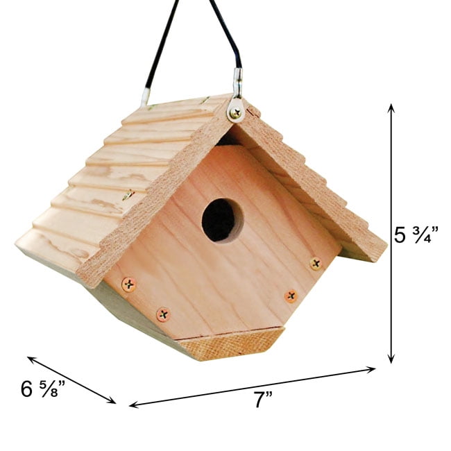 Audubon Wren House Building Kit
