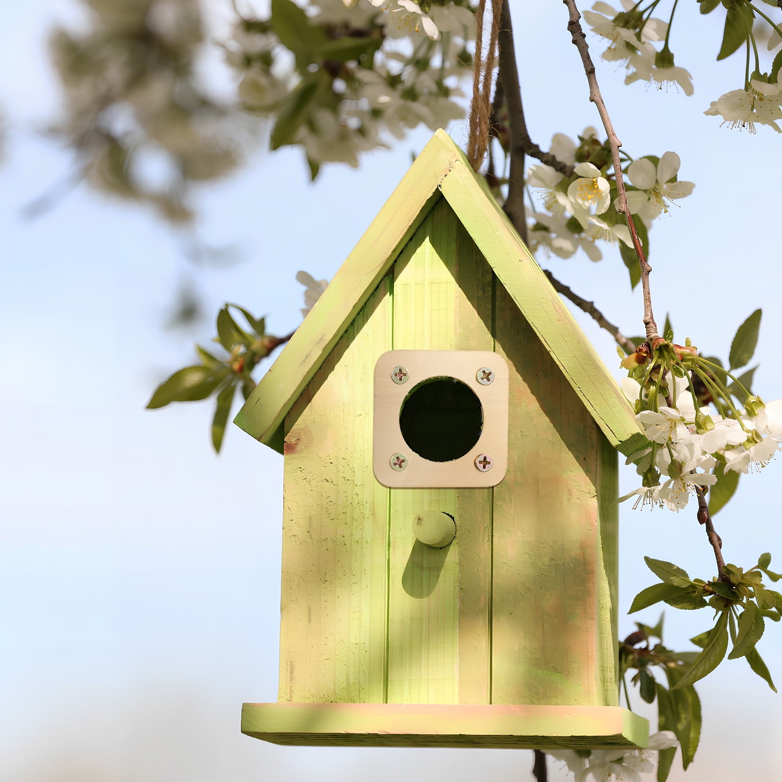 Sold 8 Pcs Bluebird House Predator Guards Bird House Hole Protector Copper Birdhouse Guard Bird House Protect
