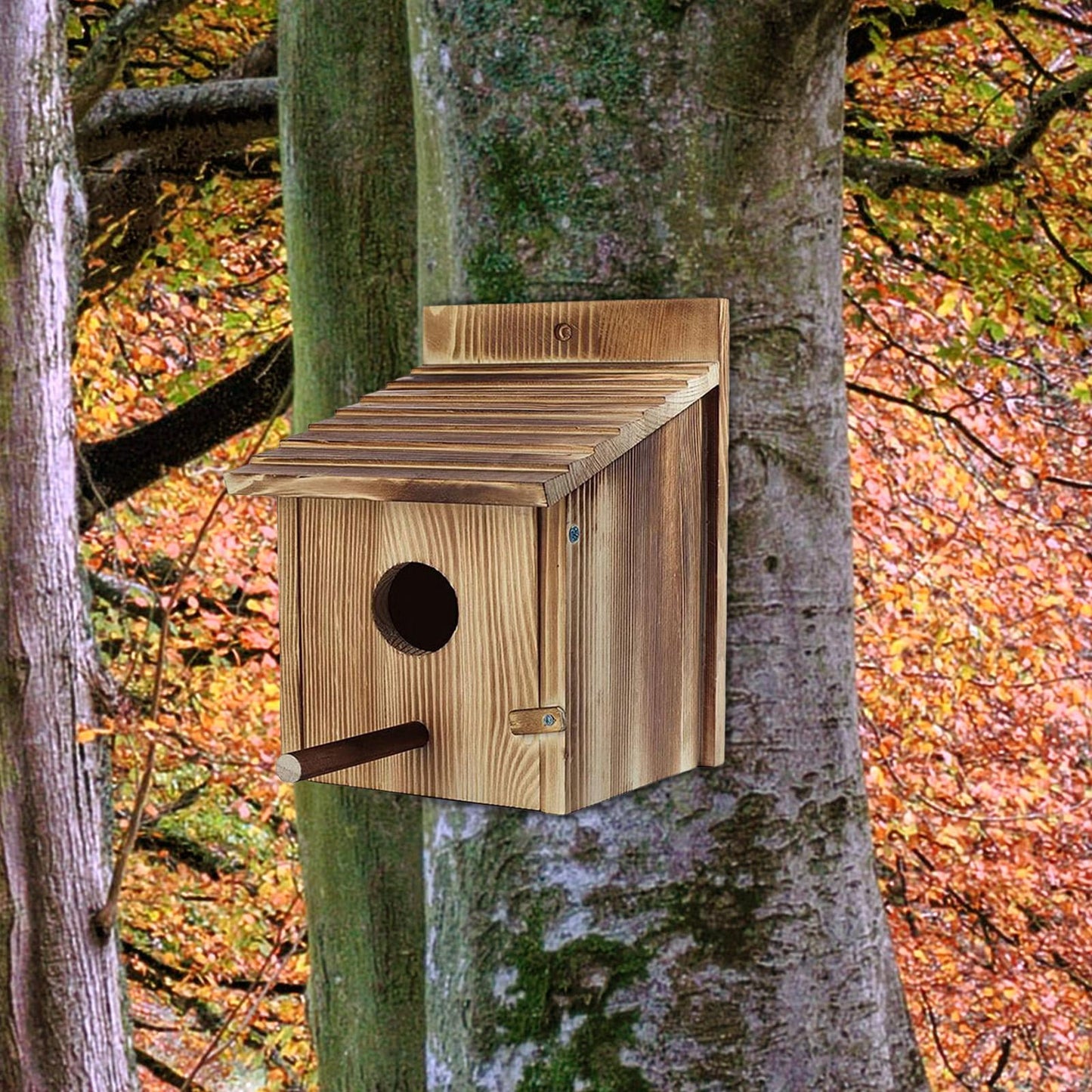 Moyitang Bird House ,Outdoor , Blue Bird House, Hanging Birdhouse Wooden