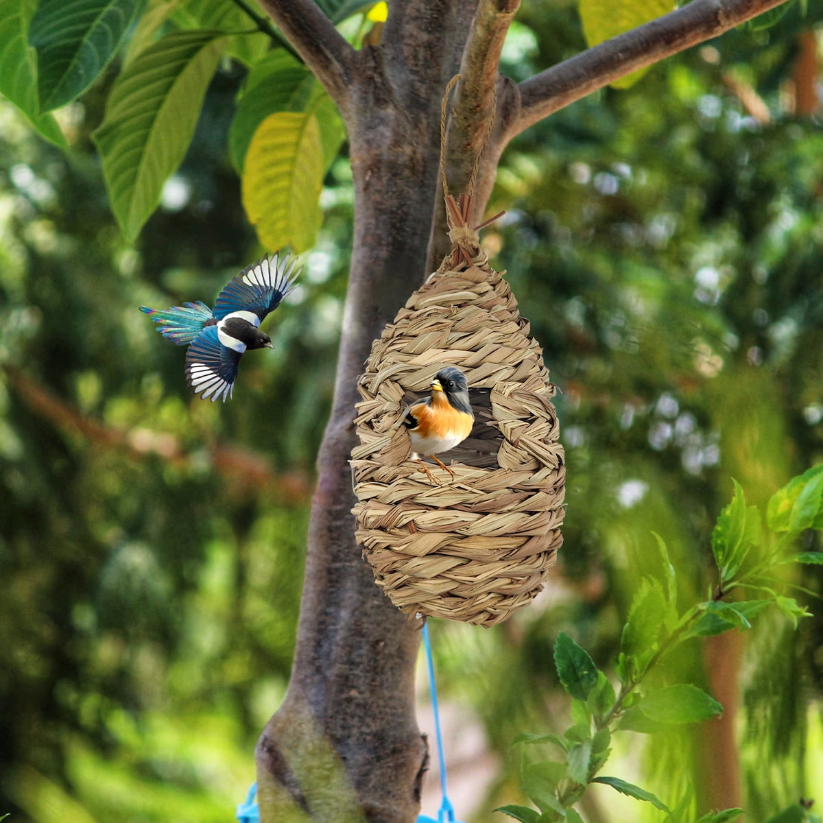 Bird House Hand Woven Hummingbird Houses Nest Small Hanging Audubon Birdhouse, 2 Pack