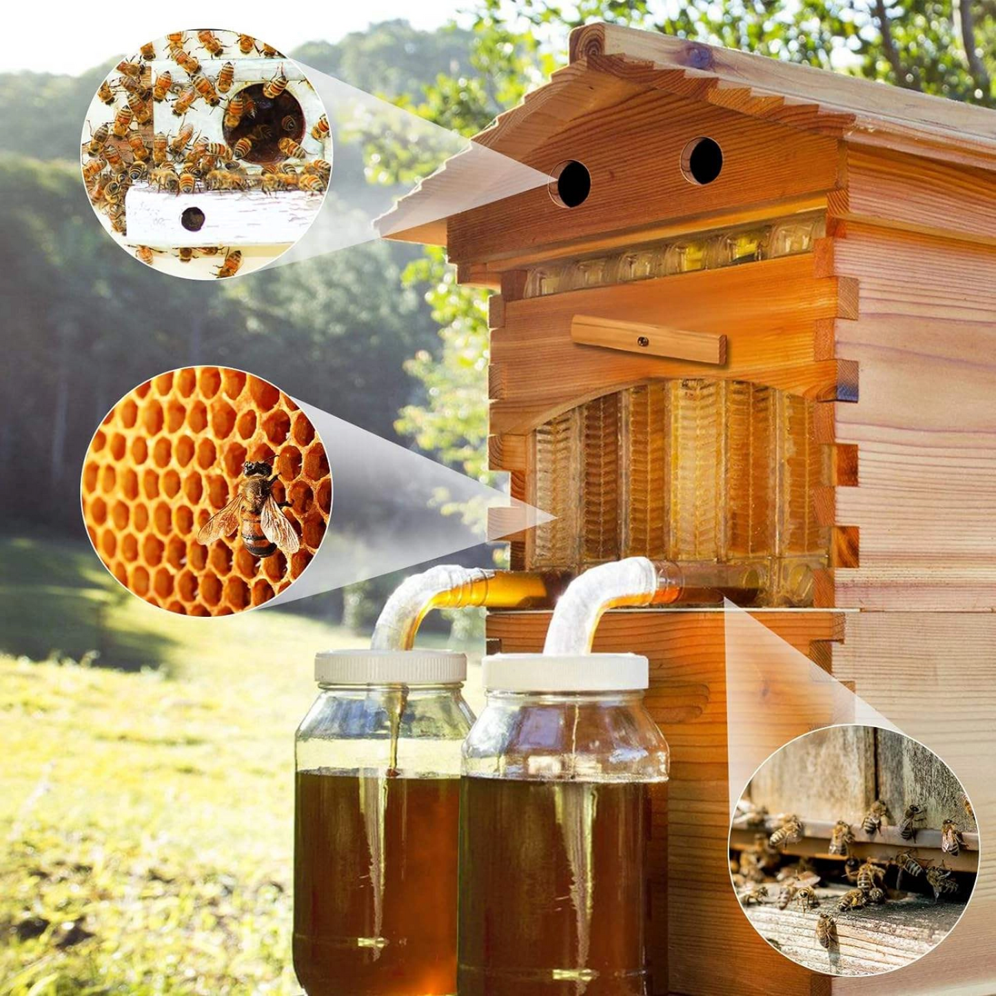 AUSHIVE Home of the Bees Decorative Cedarwood Bee Habitat Combo Pack with 7 Automatic Hive Frames, Wood Colour