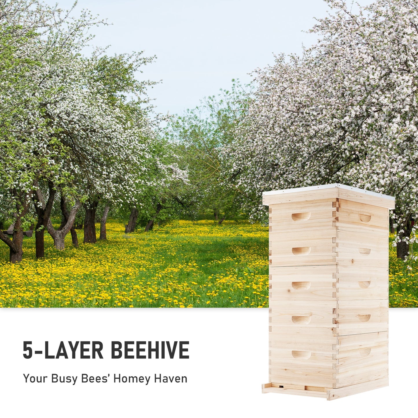 Bee Hive Boxes Starter Kit, Langstroth Beehive for Bee Keeping, 5 Layer Bee House with 4 Medium Storage Boxes & 1 Deep Brood Box, Beekeeping Supplies