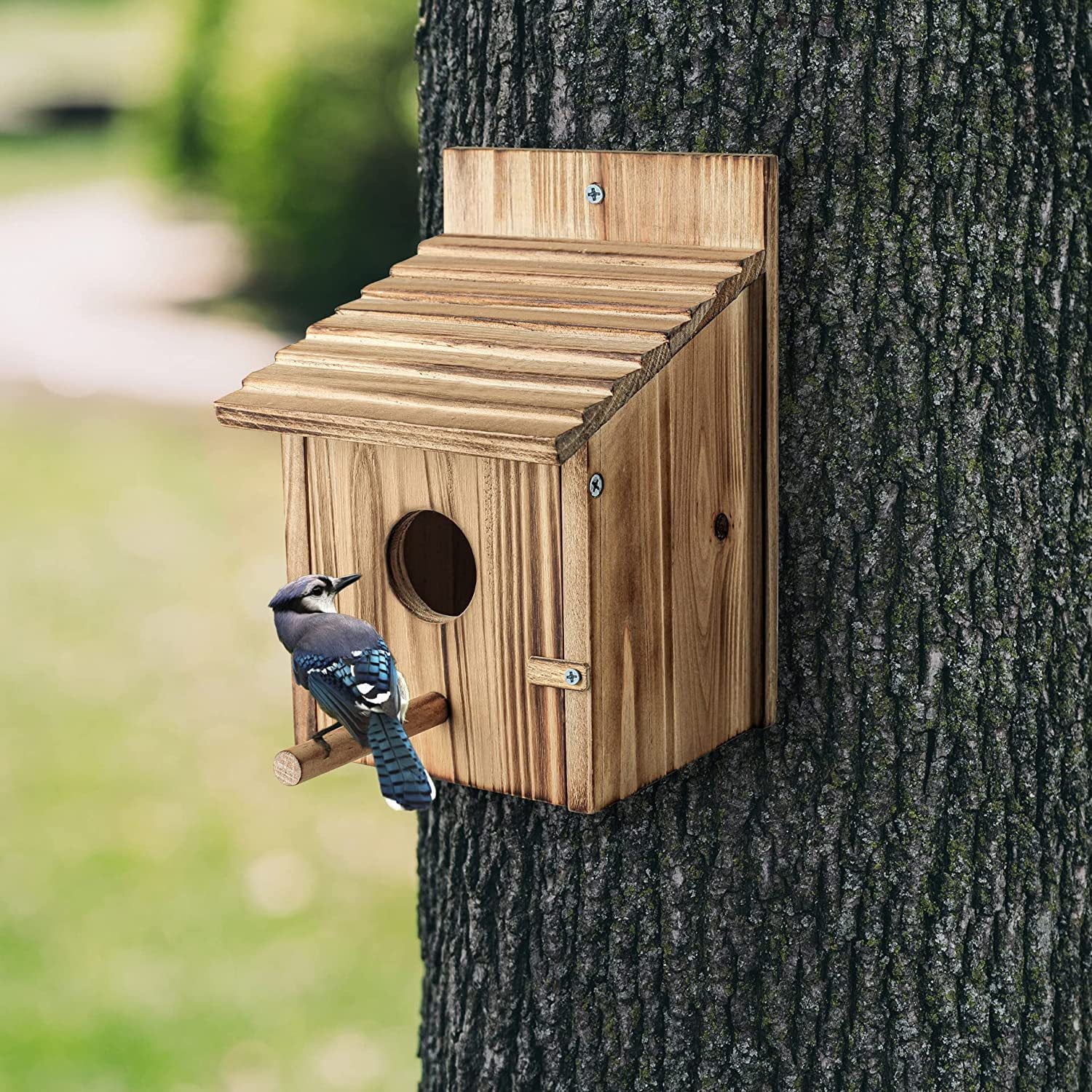 Bird House for Outside，Wooden Bluebird House，with Predator Guard Bird Nesting Box Wild Bird Watching, Finch Bluebird Cardinals Hanging Birdhouse Clearance Garden Country Cottage