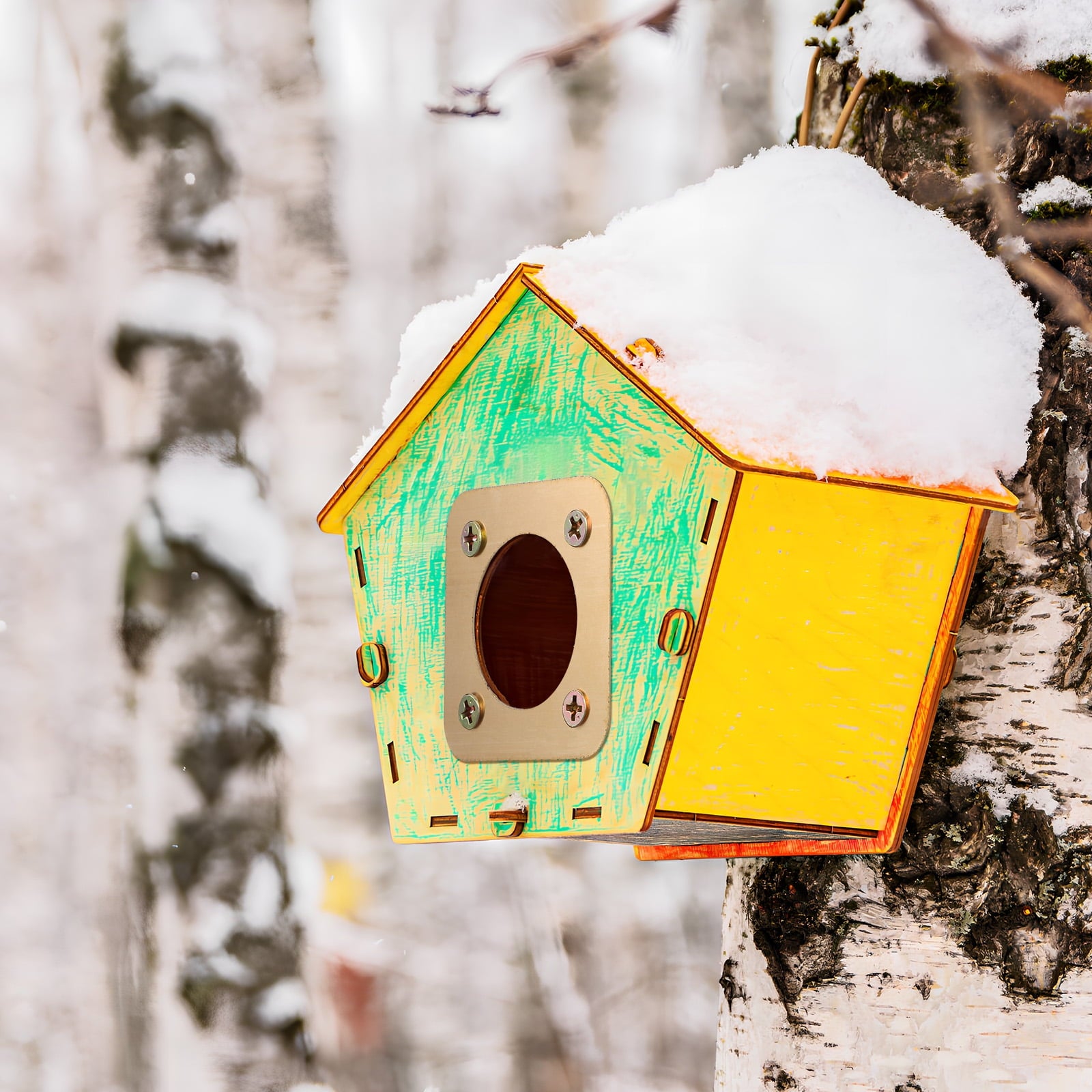 Sold 8 Pcs Bluebird House Predator Guards Bird House Hole Protector Copper Birdhouse Guard Bird House Protect