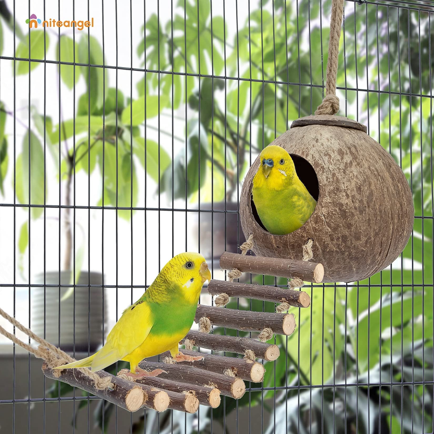 Rechale Coconut Bird House Coconut Shell Bird Nest Hanging Birdhouse with Ladder for Parrots, Hamsters Small Animals House Pet Cage Habitats Decor,Pet Bird Supplies