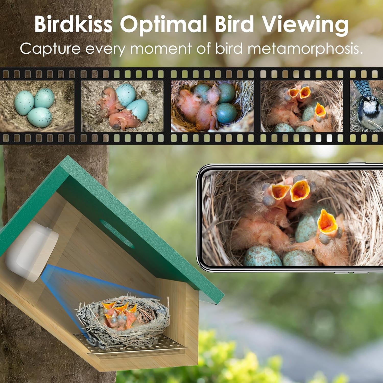 Birdkiss Smart Bird Houses for Outside Solar Powered, 1080P HD Live View Bird House with Camera, Perfect Viewing Bird Nesting and Hatching, Ideal Outdoors Bird House, Green