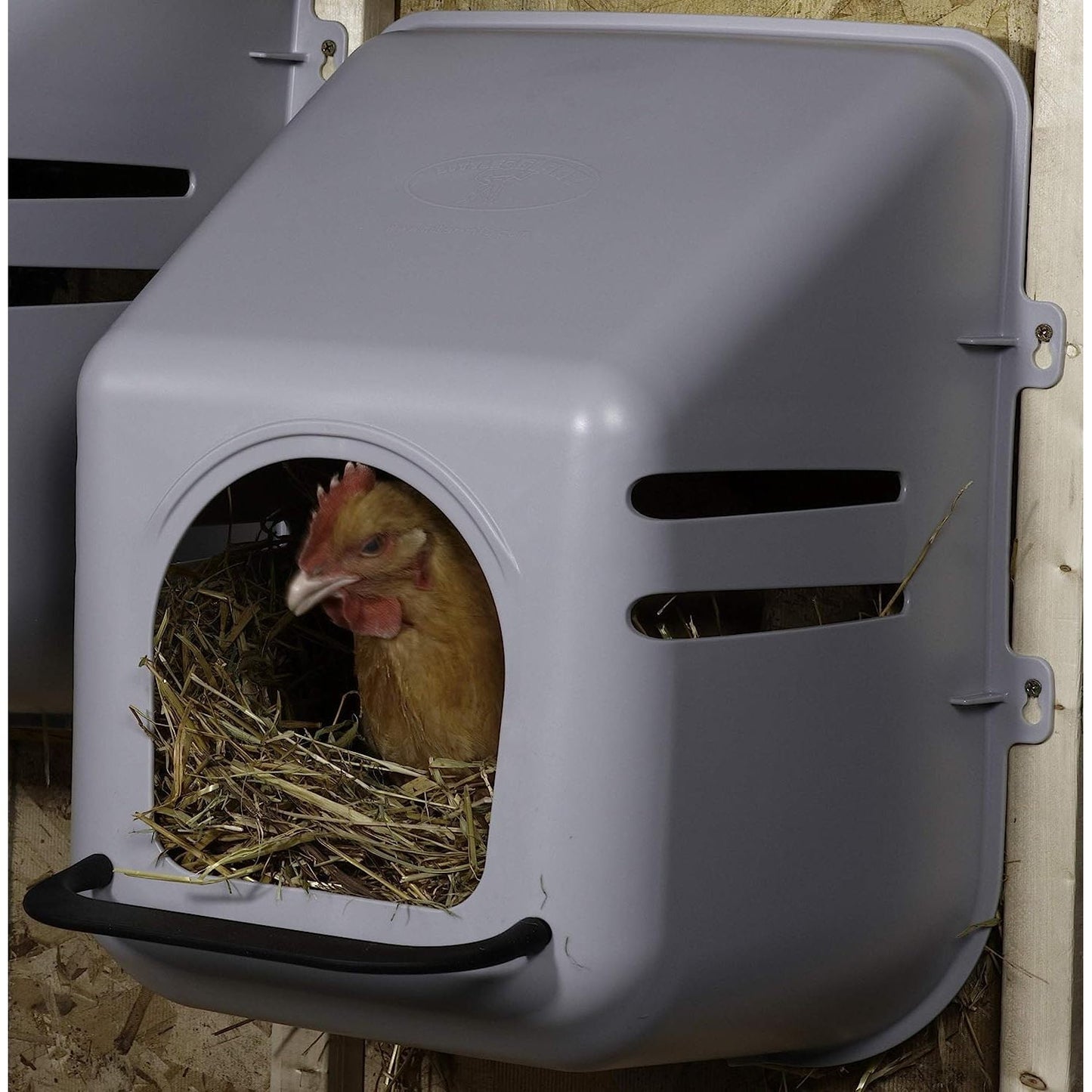 Bilot Single Plastic Nesting Box Chicken Nest Box with Perch (Item No. 163620)