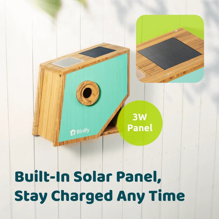 Birdfy Smart Bird Houses for Outside Solar Powered, 1080P HD Live View Bird House with Camera, Perfect Viewing Bird Nesting and Hatching, Bird Feeder with Camera for Most Birds