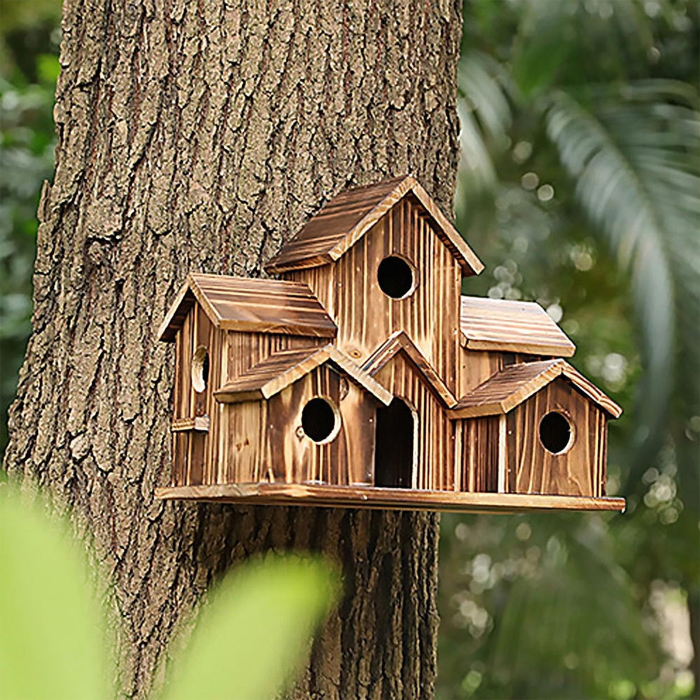Squirrel Ring Wooden Hummingbird Birdhouse Rustic Outdoor Nesting For Birds