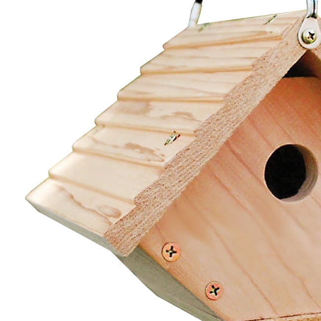 Audubon Wren House Building Kit