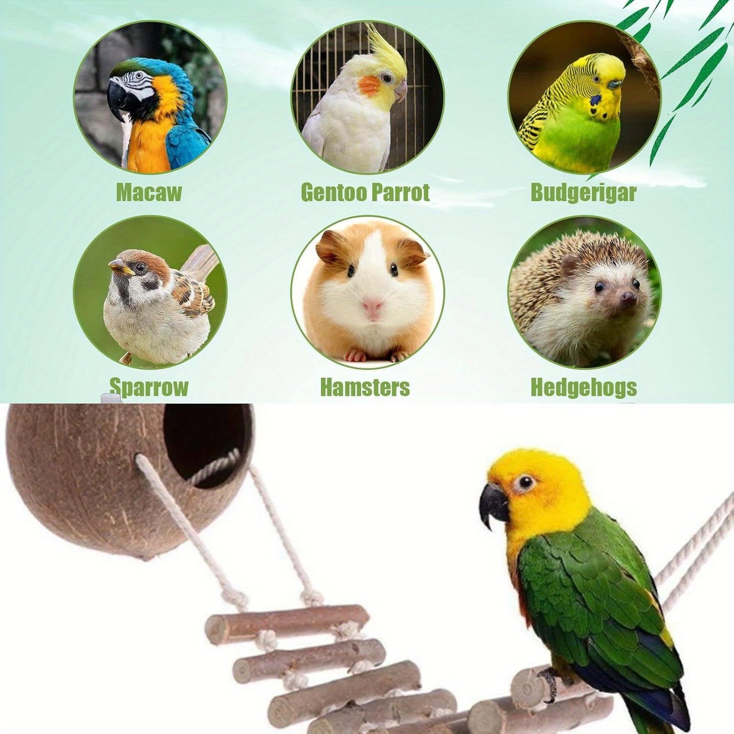Rechale Coconut Bird House Coconut Shell Bird Nest Hanging Birdhouse with Ladder for Parrots, Hamsters Small Animals House Pet Cage Habitats Decor,Pet Bird Supplies
