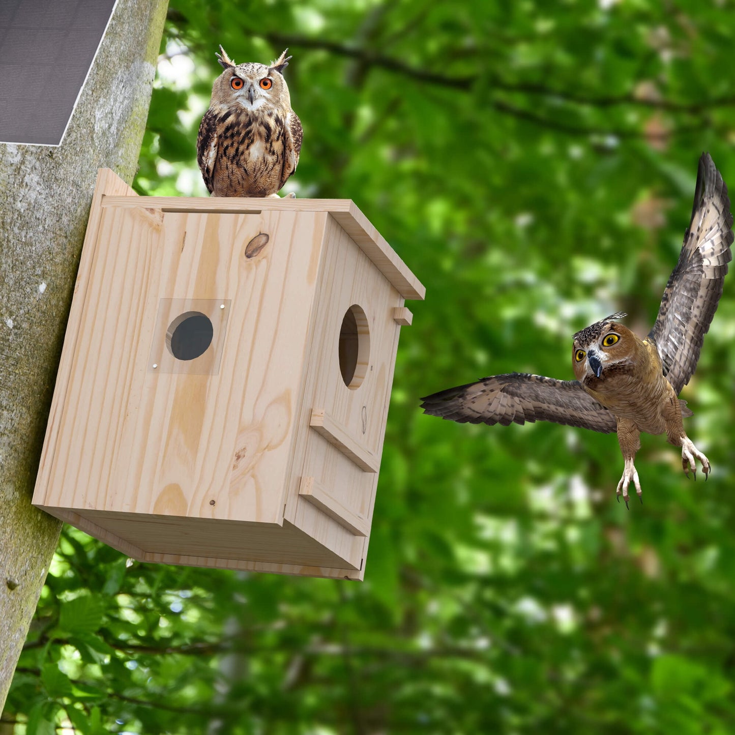 Smart Owl House with Camera, Outdoor Hanging Natural Wooden Owl Nesting Box, Solar Powered, Real-time Viewing and Motion Detection, Includes Mounting Screws, Easy to Assemble