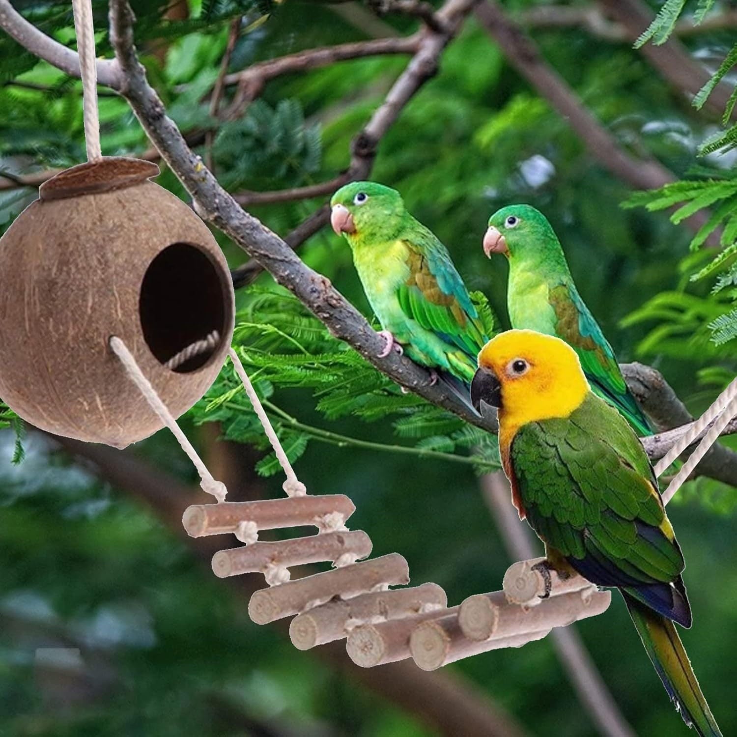 Rechale Coconut Bird House Coconut Shell Bird Nest Hanging Birdhouse with Ladder for Parrots, Hamsters Small Animals House Pet Cage Habitats Decor,Pet Bird Supplies