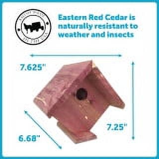 Pennington Small Cavity Eastern Red Cedar Wild Bird Nesting Box with Mounting Hardware