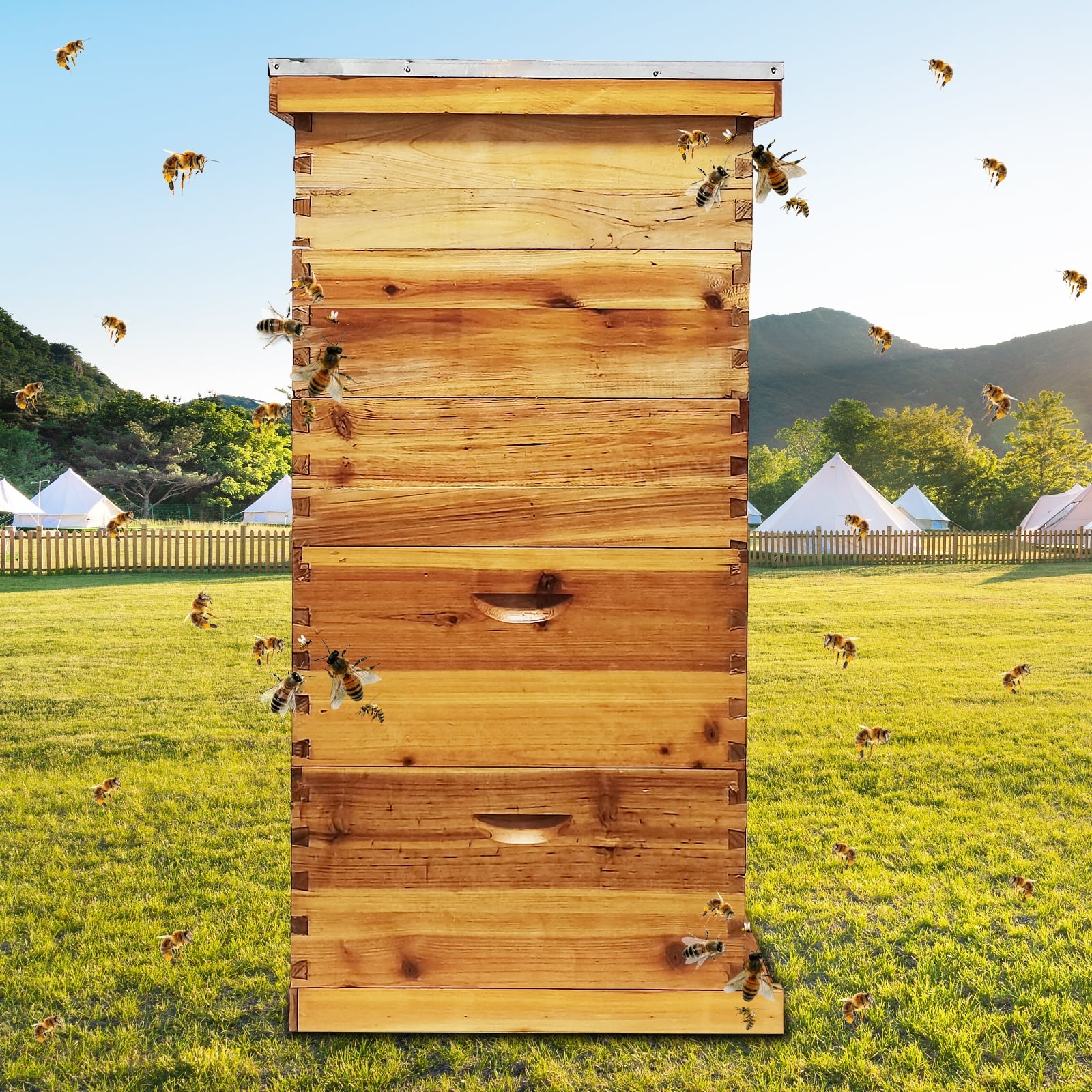 PRIJESSE 5-Layer Bee Hive for Beekeeping - 2 Deep & 3 Medium Boxes with Beeswax Coating, Ventilated Metal Roof (Frames Sold Separately)