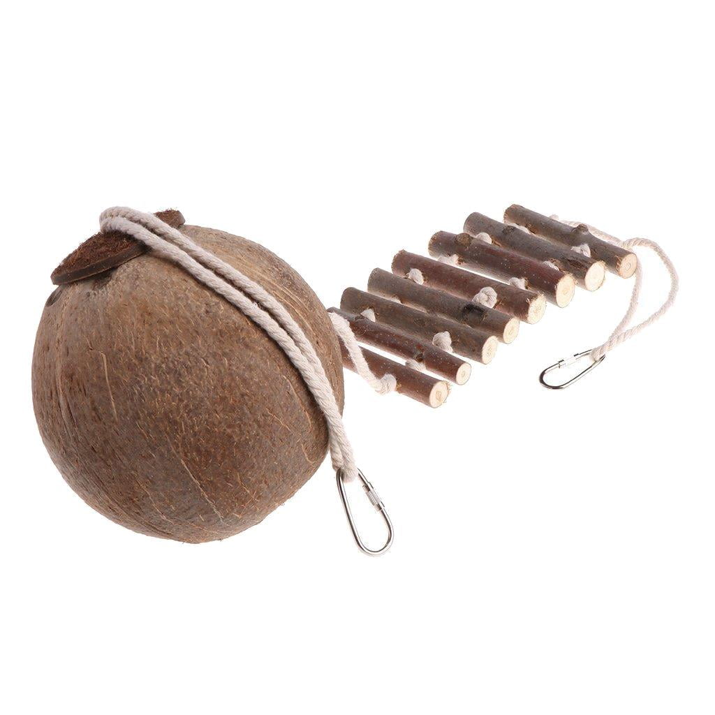 Coconut Bird Nest Hut with Ladder for Parrots Parakeet Cockatiel - Small Animals