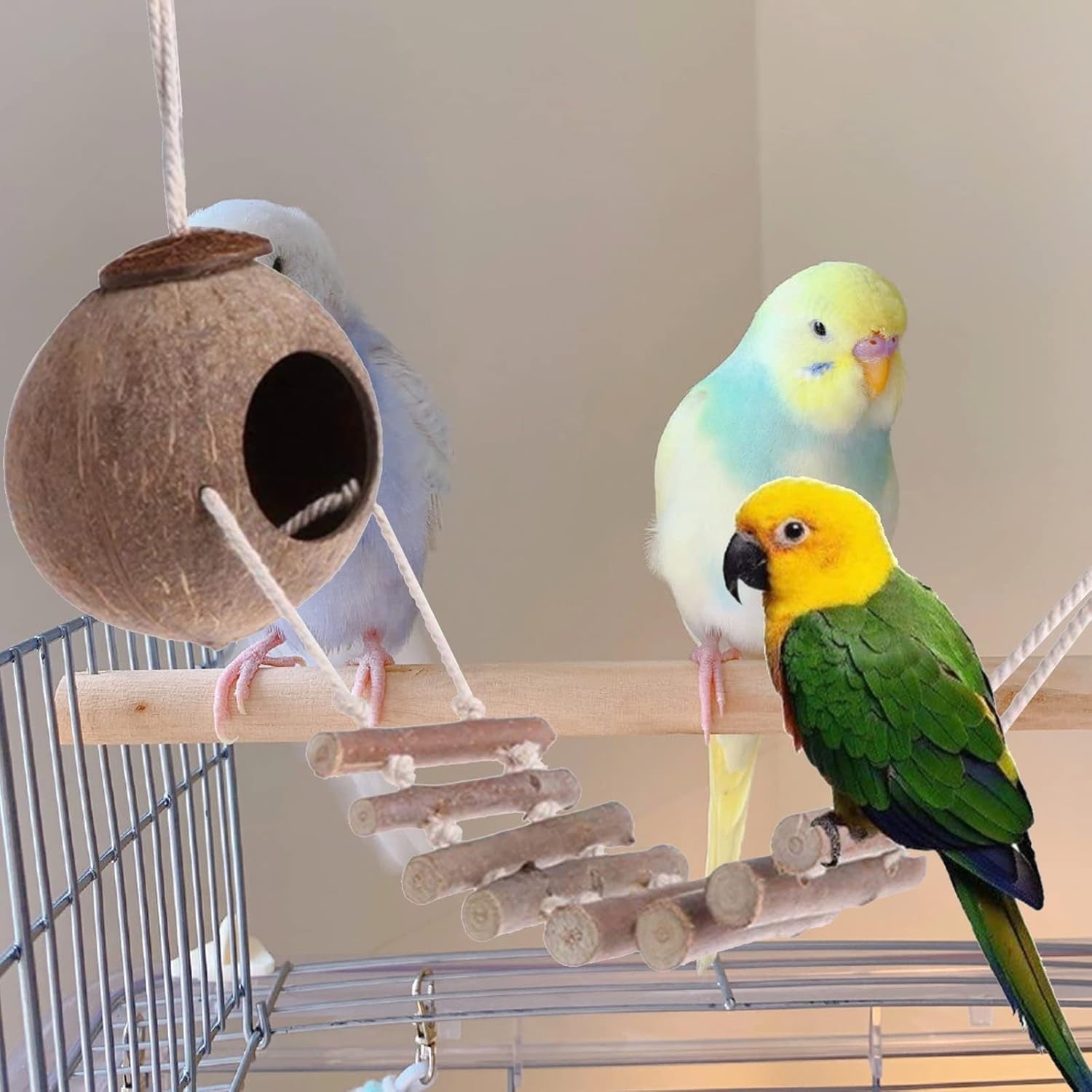 Rechale Coconut Bird House Coconut Shell Bird Nest Hanging Birdhouse with Ladder for Parrots, Hamsters Small Animals House Pet Cage Habitats Decor,Pet Bird Supplies