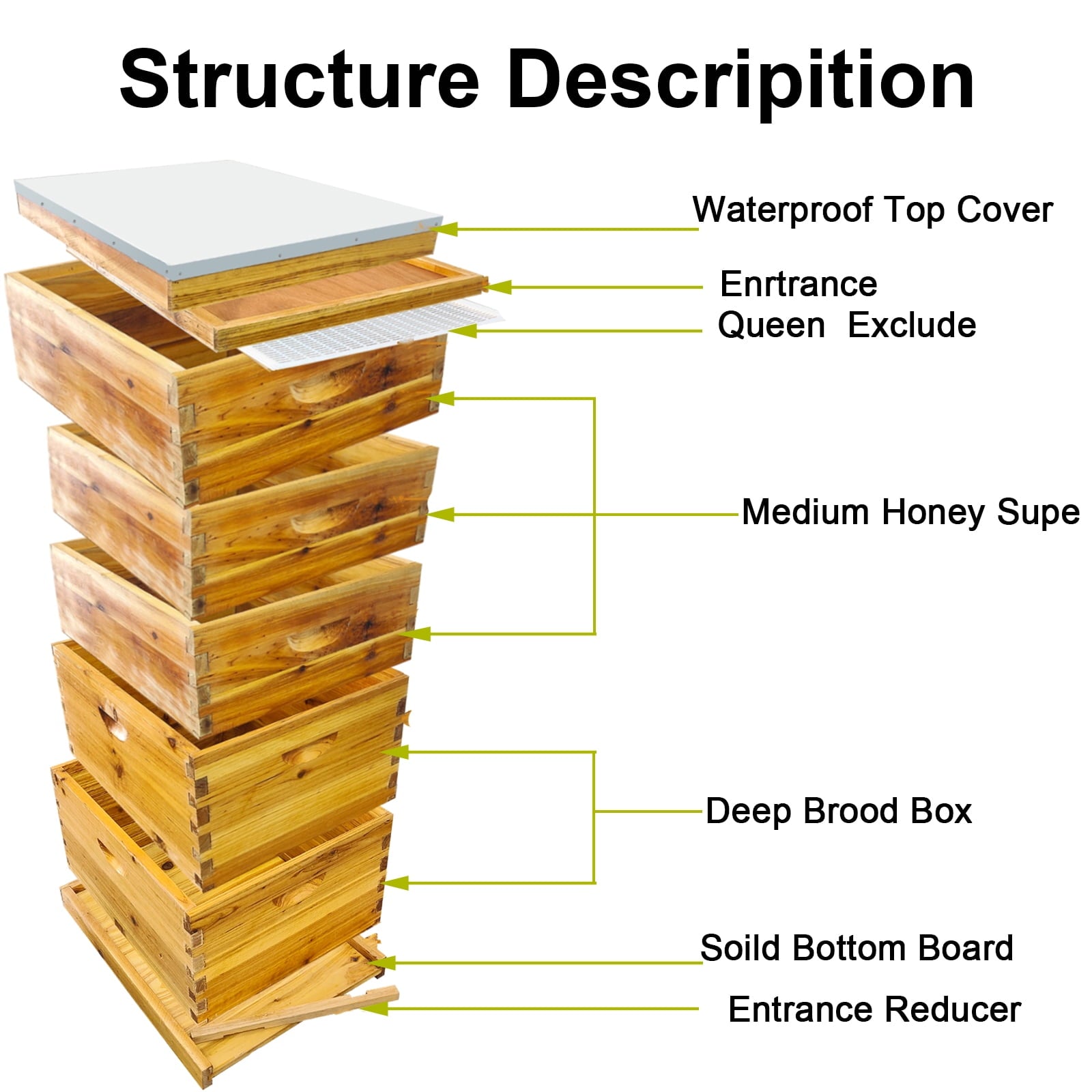 PRIJESSE 5-Layer Bee Hive for Beekeeping - 2 Deep & 3 Medium Boxes with Beeswax Coating, Ventilated Metal Roof (Frames Sold Separately)